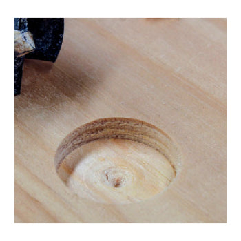 M10 TCT Wood Forstner Drill Bit